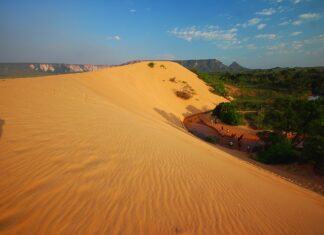 Dunas do Jalapão são fechadas para visitação após incêndios florestais na região