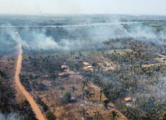 Governo abre seleção para brigadistas após incêndios se alastrarem e atingirem pontos turísticos do estado