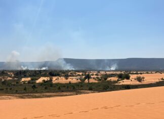 Governo do Tocantins anuncia que vai investir R$ 6 milhões para combate aos incêndios florestais
