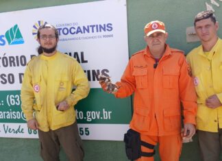 Animal silvestre regatado de incêndio fica cego após sofrer queimadura nos olhos