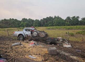 Caminhonete bate em vaca solta na rodovia e deixa uma pessoa morta e duas feridas