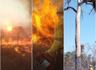 Área queimada na Ilha do Bananal equivale a cinco vezes o tamanho da cidade de São Paulo, diz Ibama