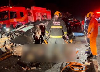 Policial rodoviário aposentado morre e mulher fica em estado grave após batida entre carro e caminhão na BR-153