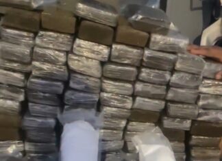 Homem é preso com cerca de 200 kg de drogas, embalagens e balanças de precisão durante ação policial