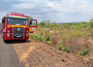 Homem morre em capotamento e corpo fica preso embaixo de carro na TO-341