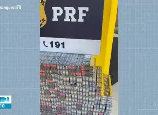 Rota do cigarro: estado teve mais de 425 mil maços apreendidos e fábrica clandestina descoberta