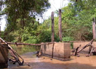Moradores esperam reconstrução de ponte há quatro anos e se arriscam em travessia: ‘Pinguela com a água na cintura’