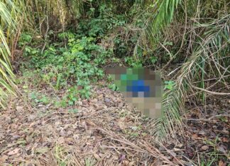 Homem morre após perder o controle de moto e cair em ribanceira na TO-226