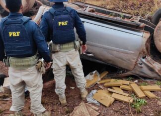 Caminhonete sai da pista e capota com quase meia tonelada de maconha durante perseguição da PRF