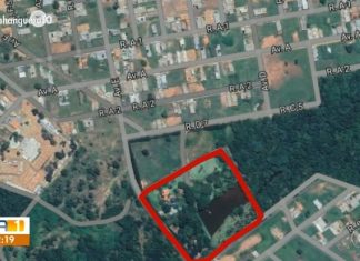 Justiça determina desocupação de área verde onde homem cria gado em Gurupi