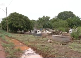 Primeiro cemitério de Palmas está sem muro, com entulhos e árvore crescendo em túmulo: ‘Está abandonado’