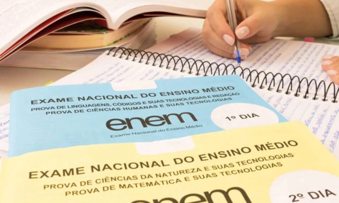 imagem3