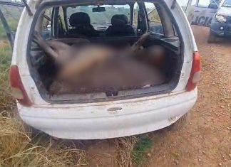 Polícia encontra carro com porta-malas cheio de animais silvestres abatidos e prende quatro caçadores