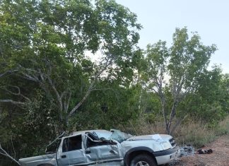 Mulher morre e homem fica ferido após caminhonete bater em poste na TO-226