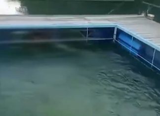 Homem que caiu em rio é encontrado morto após dois dias desaparecido