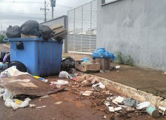 Lixo transborda e deixa mau cheiro em ruas e avenidas de Palmas após paralisação do serviço: ‘Insuportável’, diz moradora