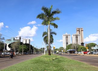 Boletos do IPTU de Palmas podem ser emitidos pela internet; veja descontos e data de pagamento