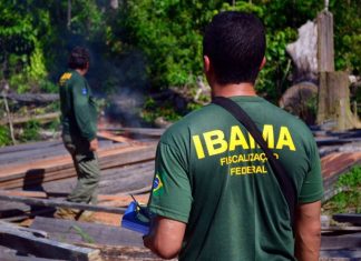 Concurso do Ibama oferta 59 vagas para o Tocantins com salários a partir de R$ 9,9 mil; veja edital