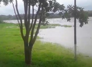 Chuvas aumentam em mais de sete metros o nível do rio Paranã e em cinco metros o rio Palma, diz boletim