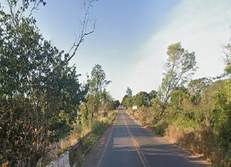 Motociclista fica ferido após acidente com vaca que invadiu pista na TO-222