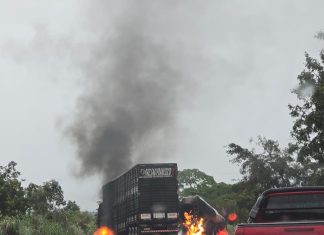Batida entre dois caminhões provoca explosão e deixa uma pessoa ferida na TO-010