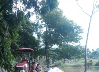 Homem é suspeito de assassinar namorada e morre depois de jogar carro em represa, diz polícia