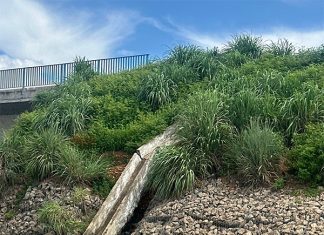 Vistoria do TCE encontra ‘falhas graves e potenciais riscos’ na estrutura da ponte entre Palmas e Luzimangues