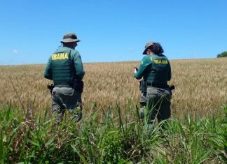 Concursos e seleções oferecem salários de até R$ 13,9 mil no Tocantins; confira