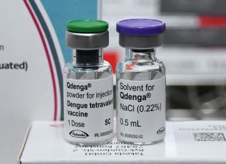 Tocantins tem 2,5 mil notificações de casos suspeitos de dengue e vacinação está disponível para jovens de 10 a 14 anos