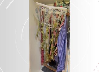 Homem que postava vídeos com armas e pés de maconha é preso após ex-companheira o denunciar por ameaça