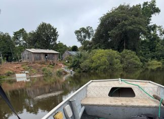 Indígena de 91 anos desaparece na Ilha do Bananal e é encontrado morto