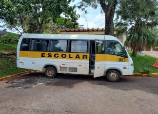 Dois micro-ônibus escolares são apreendidos no Paraná com placas clonadas do Tocantins e alerta de furto, diz polícia