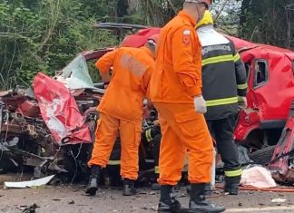 Policial penal, mãe e avó morrem em acidente entre carro e caminhão na BR-153
