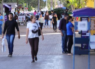 Carnaval altera funcionamento de serviços públicos e comércio no Tocantins; confira datas e horários