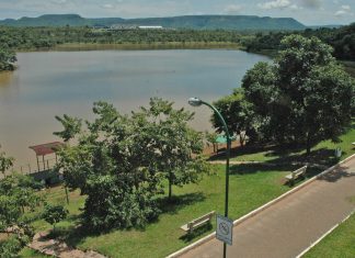 Prefeitura coleta amostras para investigar causa da morte de macaco no Parque Cesamar, em Palmas