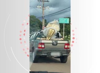Vídeo de estatueta gigante do Oscar na traseira de picape viraliza e internautas brincam: ‘Fernanda, seu pedido saiu para entrega’