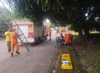 Mulher cai dentro de fossa de 3 metros ao tentar pegar manga e precisa ser resgatada pelos Bombeiros