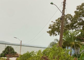 VÍDEO: Chuva com ventos derruba teto de rodoviária, árvores e causa mais estragos em Porto Nacional