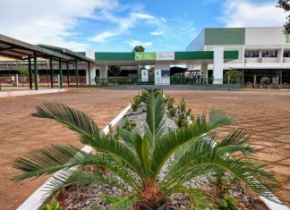 IFTO abre processo seletivo com vagas para professor substituto e salários de até R$ 8,5 mil