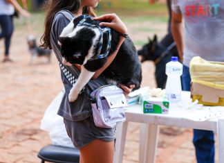 Cães e gatos a partir de três meses podem ser vacinados contra a raiva neste sábado (26); veja os locais