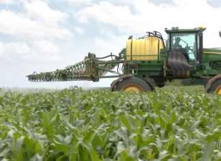 Agricultores apostam em bioinsumos com fórmulas naturais para ajudar a proteger lavouras