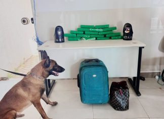 Homem flagrado com cerca de 10 kg de maconha dentro de mala, solta objeto ao avistar policiais e é preso