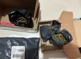 Homem despacha pacotes de maconha em transportadora e acaba preso após ser denunciado pelo odor da droga