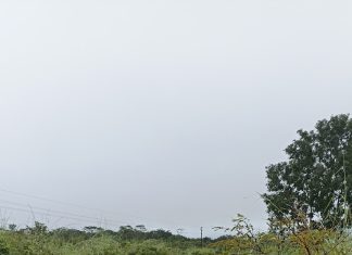 Caminhões perdem o controle em trecho da TO-335, saem da pista e deixam feridos
