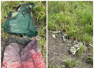 Ossada humana é encontrada em fazenda na zona rural de Colinas do Tocantins