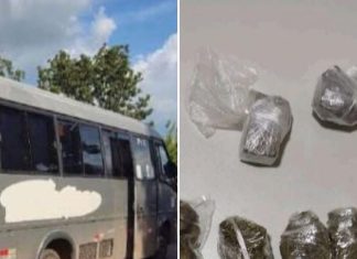 Motorista de van é preso ao chegar em rodoviária com diversas porções de drogas