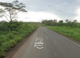 Motorista morre após carro sair da rodovia na TO-201