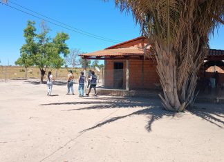 Mais quatro pessoas não vacinadas são diagnosticadas com sarampo no Tocantins, diz SES