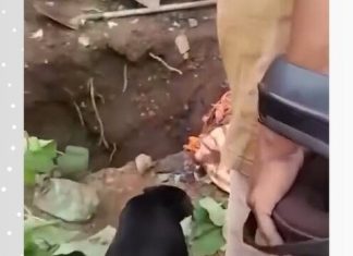 Justiça aceita denúncia, e mulher vira ré pelo assassinato do marido; corpo estava em cova no quintal