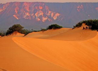 Aventura e conexão com a natureza: Jalapão revela dunas, fervedouros e cachoeiras que encantam turistas no Tocantins
